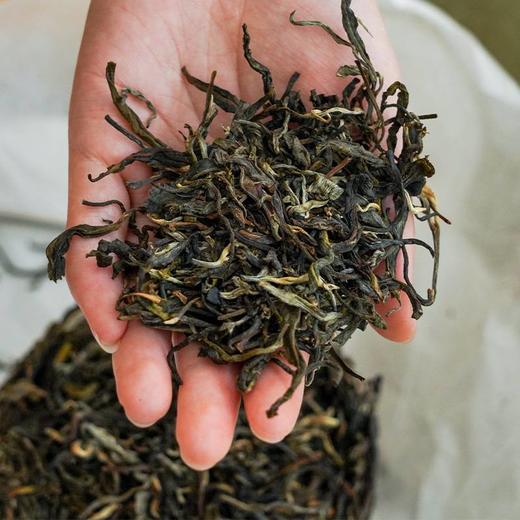 【龙团贡茶—困鹿山】2023年头春头采茶农联合出品良心好茶送礼自存不二之选500克/团 商品图4