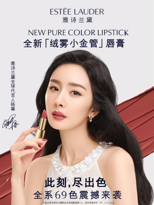 【雅诗兰黛】B1F 绝色由我唇膏-金管 商品图3