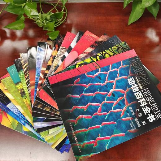 《guo家地理动物百科全书》全20册，一套书了解整个动物界 商品图2