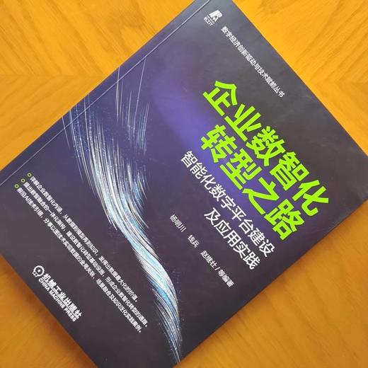 企业数智化转型之路 ——智能化数字平台建设及应用实践 商品图1