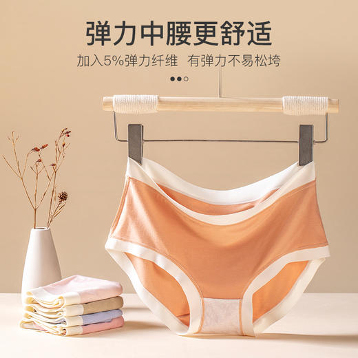 爱帝少女内裤莫兰迪色中腰3条装 商品图1