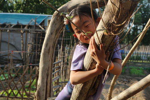 农事活动 | 一日农夫 | 耕读 商品图5