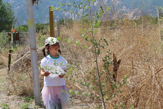 农事活动 | 一日农夫 | 耕读 商品图6