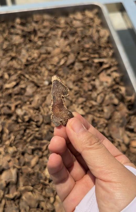 九蒸九晒姜粉 云南罗平小黄姜制作 150克 商品图6