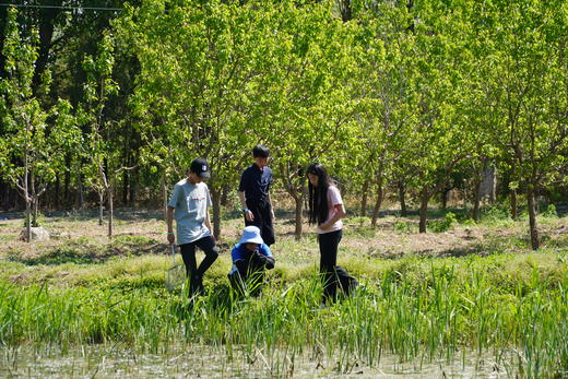 农事活动 | 一日农夫 | 耕读 商品图4