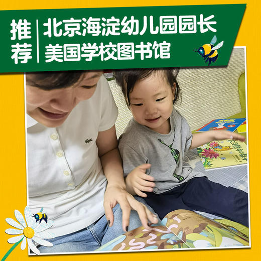 大自然中的数学(全4册) 商品图4