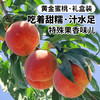 北京平谷黄金蜜桃  果肉细腻  甜糯汁水足  有特别的果香  黄桃 桃子  礼盒装 商品缩略图1