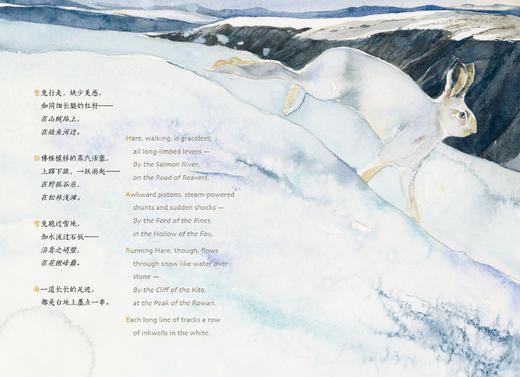 失落的咒语 商品图5