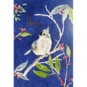 夜晚鸣鸟节日信封贺卡 文创周边 Peter Pauper Press 英文原版 
Evening Songbird Small Boxed Holiday Cards