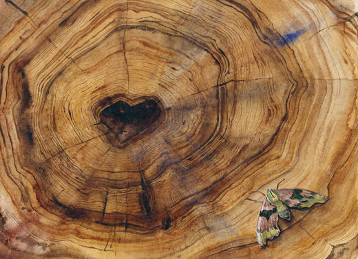 失落的咒语 商品图1