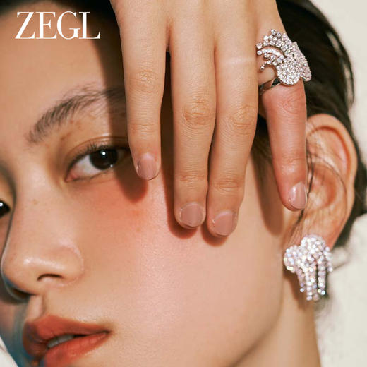 ZEGL闪耀流苏耳环女小众设计感高级耳钉2023年新款潮长款气质耳饰 商品图5