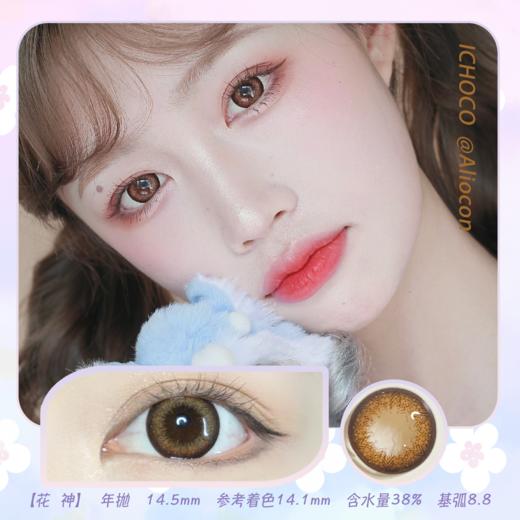 *Darrens Ichoco花神棕 14.5mm【年抛1片】 商品图0