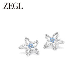 ZEGL设计师盛夏狂欢系列海星耳环女小众设计感高级耳钉银针耳饰品