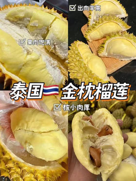 周二配送！巴掌榴莲 每个只有巴掌大小，但色泽、肉质、香气都令人惊艳
晚成熟的巴掌榴莲，有着和大体型金枕榴莲同比数量的果肉！基本3-4房肉，❗️不保房，包熟包甜