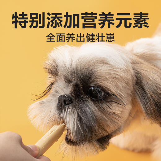 网易天成犬用鸡肉火腿肠 商品图2