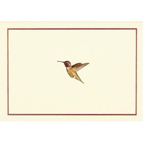 飞行中的蜂鸟 明信片信封贺卡 文创周边 Peter Pauper Press 英文原版 Hummingbird Flight Note Cards