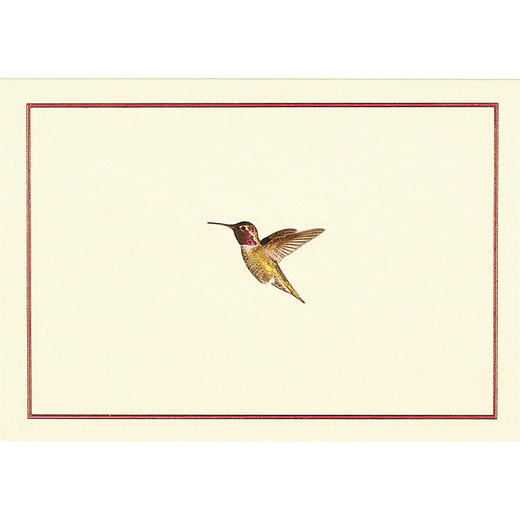 飞行中的蜂鸟 明信片信封贺卡 文创周边 Peter Pauper Press 英文原版 Hummingbird Flight Note Cards 商品图0