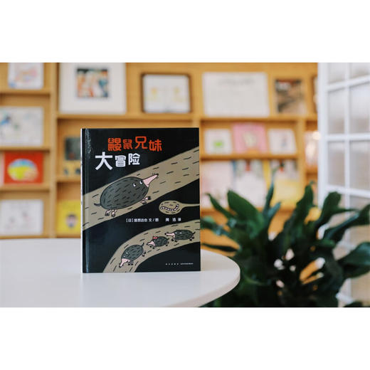 鼹鼠兄妹大冒险 3-6岁 宫西达也 著 儿童绘本 商品图0