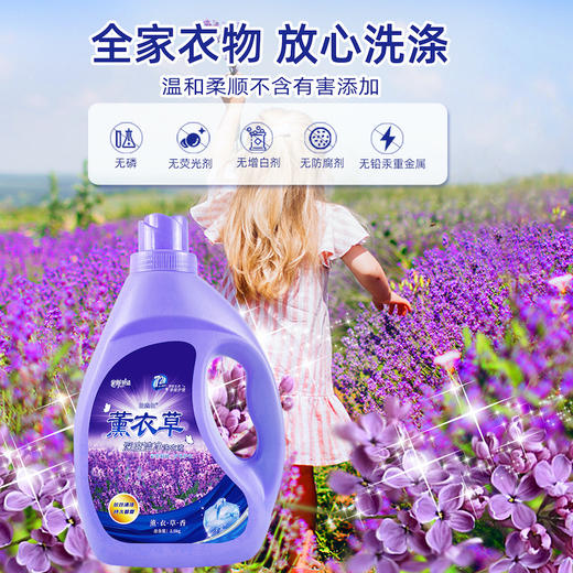 自营（泰利嘉）- 薰衣草洗衣液瓶装香味持久留香实惠家庭装 2瓶家庭装 到手10斤 商品图2