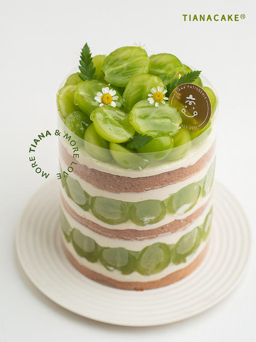 四寸茉莉青提 商品图0