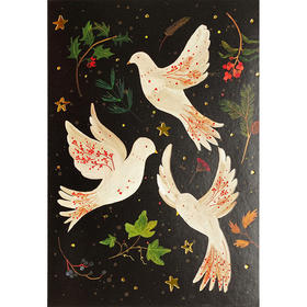 和平鸽明信片信封贺卡 文创周边 Peter Pauper Press 英文原版 
The Doves of Peace Small Boxed Holiday Cards