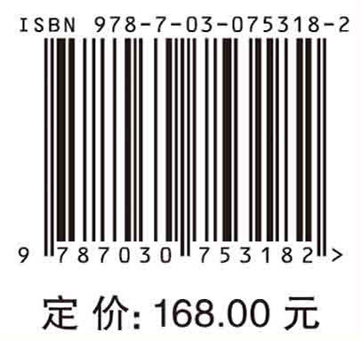 智能全景系统理论及其现代电网应用 商品图2