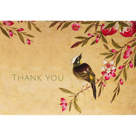 桃花 明信片信封贺卡 文创周边 Peter Pauper Press 英文原版 
Peach Blossoms Thank You Cards