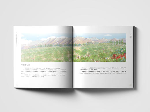 嘿，你的生活被这些植物改变了2177 商品图4