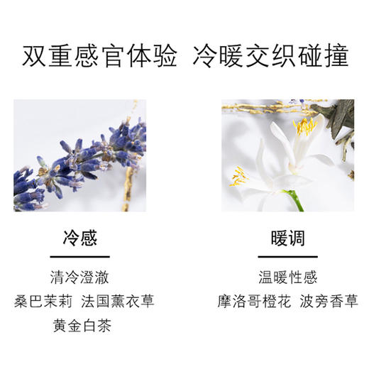 YSL圣罗兰LIBRE自由之香女士香水 EDT淡香水50-90ml 送香水礼品袋【CDF】 商品图3