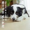 尾巴先生狗狗零食鳕鱼皮麻花宠物幼犬泰迪金毛边牧磨牙耐咬零食 商品缩略图1