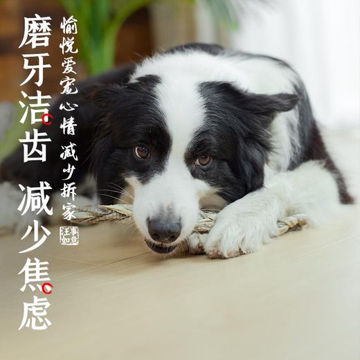 尾巴先生狗狗零食鳕鱼皮麻花宠物幼犬泰迪金毛边牧磨牙耐咬零食 商品图1