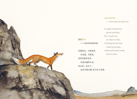 失落的咒语 商品图4