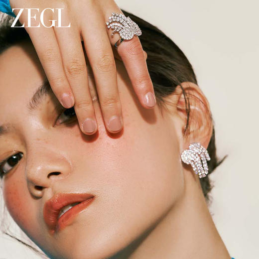 ZEGL闪耀流苏耳环女小众设计感高级耳钉2023年新款潮长款气质耳饰 商品图4