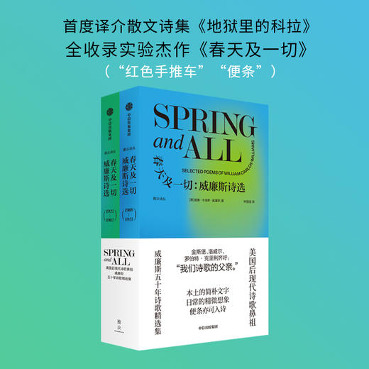 春天及一切：威廉斯诗选 威廉·卡洛斯·威廉斯 著 文学 商品图2