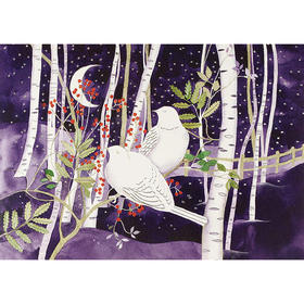 白桦树上的鸽子 明信片信封节日贺卡 文创周边 Peter Pauper Press 英文原版 
Doves in White Birches Deluxe Boxed Holiday Cards