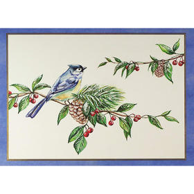 小鸟的问候 明信片信封贺卡 文创周边 Peter Pauper Press 英文原版 
Feathered Greetings Deluxe Boxed Holiday Cards