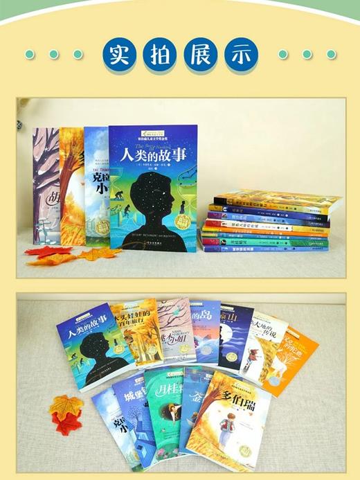 纽伯瑞儿童文学奖全套12册国际儿童文学大奖成长小说系列绘本三年级四五六年级阅读课外书小学生阅读书籍12册（礼盒装） 商品图5