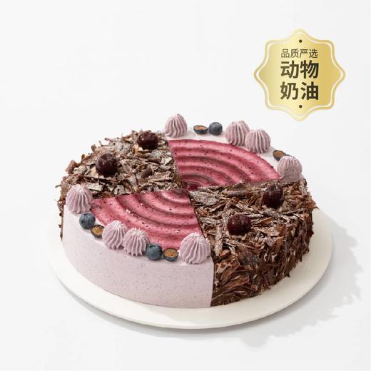 【限时上架】四选一8英寸动物奶油轻享蛋糕，全新升级加赠生日配件包：莓莓黑森林、杨枝甘露舞曲、樱桃黑森林物语、蓝莓恰恰（哈尔滨幸福西饼） 商品图0