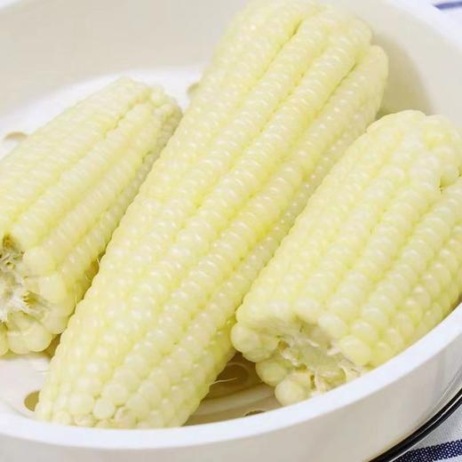 统一零售价13！B/速冻万全糯玉米1袋/4根-约1.3KG 商品图6