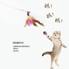 猫咪钢丝彩色羽毛逗猫棒5根/组 商品缩略图2