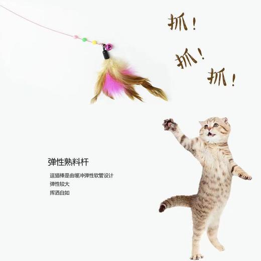 猫咪钢丝彩色羽毛逗猫棒5根/组 商品图2