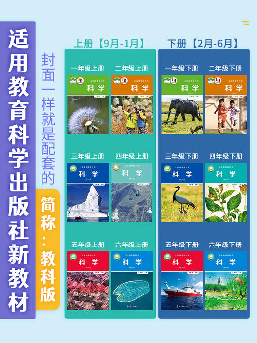 【现货秒发】教科版1-6年级上下册《小学科学实验盒（个人版）》（赠送配套精品教学网课和思维导图） 商品图3