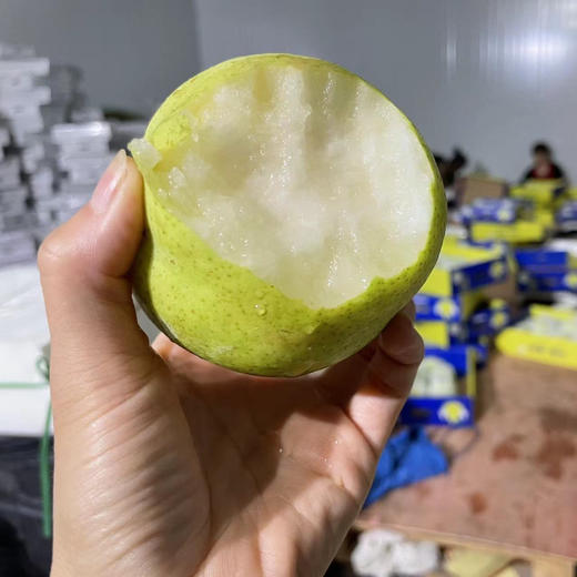 明五配送！千脆蜜梨，一口一脆，汁水充足，树上熟，一个夏季的好梨！5斤/箱 商品图3