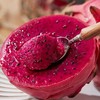 蜜宝火龙果 商品缩略图2