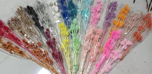 永生花--蓝星球 商品图0