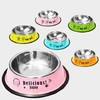宠物不锈钢中号喂食碗5个/组 商品缩略图2