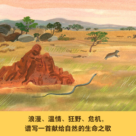 【筑桥】动物天堂之歌 塞伦盖蒂大草原 6岁+精装 儿童读物·科普百科  商品图2