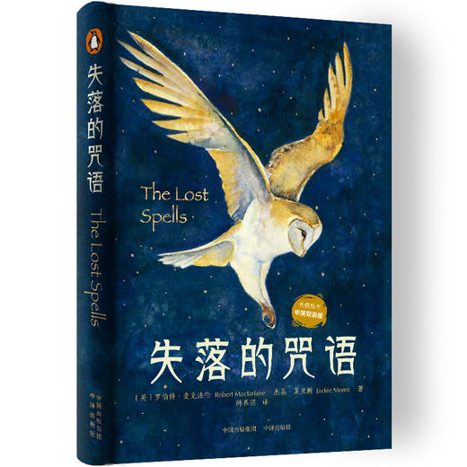 失落的咒语 商品图0