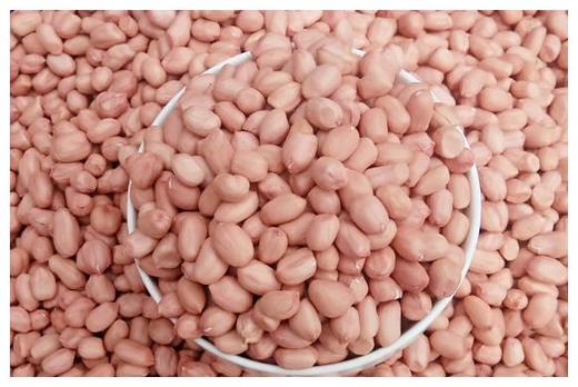 白皮花生米 500g 商品图1