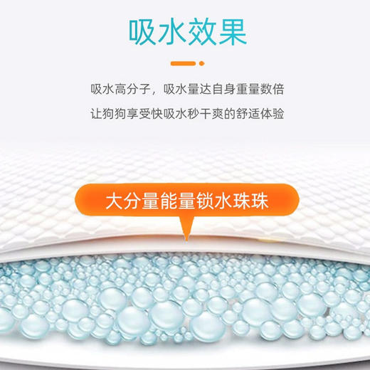 华宠 宠物尿片尿不湿 卫生垫加厚高吸水  透明袋装【因到货批次 尺寸、重量有出入，介意慎拍】 商品图3